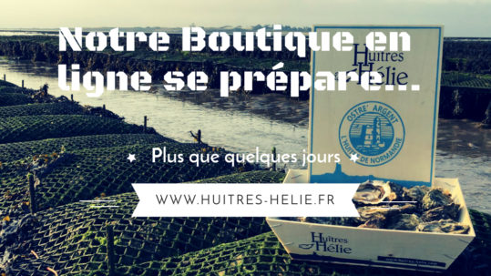 huitres en ligne normandie