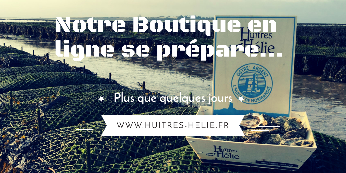 huitres en ligne normandie