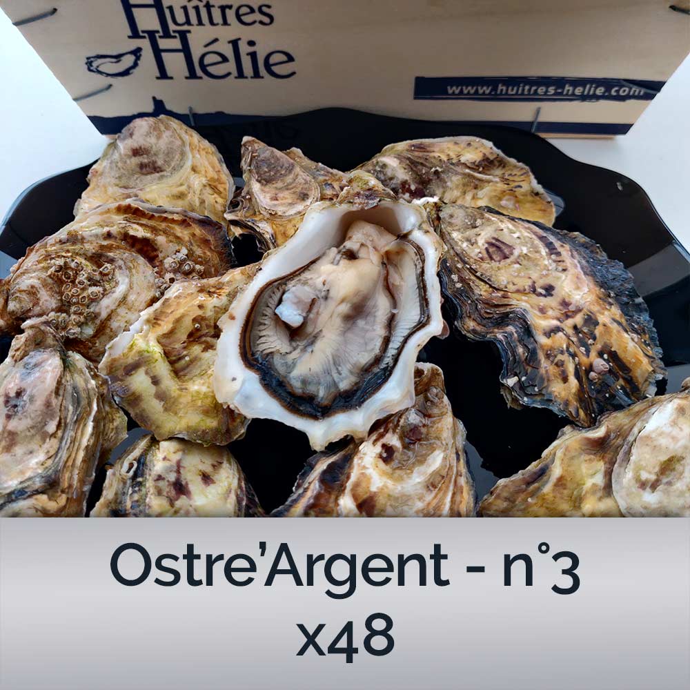 Combien D'huîtres Dans Une Bourriche De 3 Kg