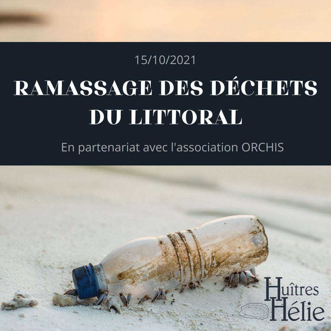 Ramassage des déchets sur le littoral cotentin